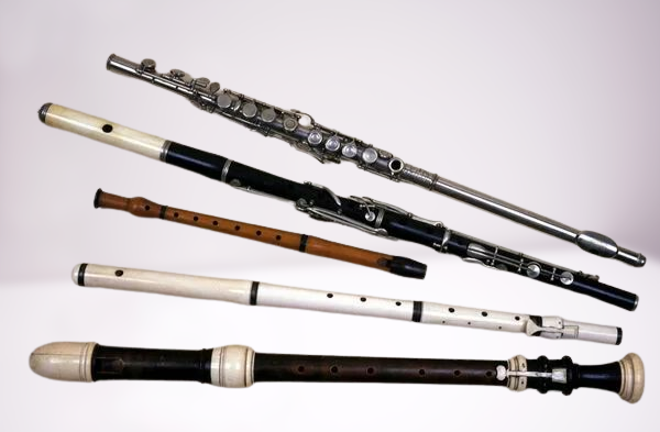 Comprehensive Flute Buying Guide post thumbnail image